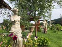 Casa cu Pitici - B&B