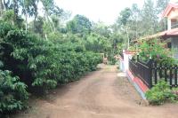Whistling Woods Farm Stay - B&B Kushālnagar