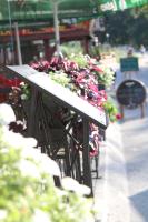 Gonik Apartmani - B&B Veliko Gradište