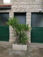 Apartments Tonkita with jacuzzi - B&B