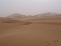 Habitación Individual