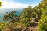 Moeraki with private walkway to Onetangi Beach by Waiheke Unlimited - Chambres d’hôtes Onetangi