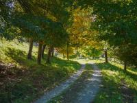 Casa de 3 dormitorios