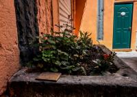 Little House Napoli - Ferienwohnung Neapel