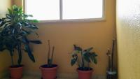D.ANA GUESTHOUSE - B&B