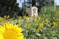 Mas de la Chapelle Sainte-Elisabeth - Chambres d’hôtes Tarascon