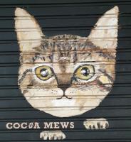 Cocoa Mews Cafe and Homestay - B&B