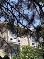 Seahaven - Bed and Breakfast Petrovac na Moru