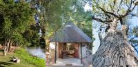 Malilule Safaris - B&B Hoedspruit