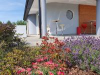 Villa Sillenzio - B&B