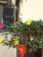 Al Chiaro di Luna - B&B