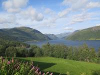 Studioleilighet i Haukedalen - B&B Holsen