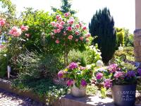 VILLA FREIA Dresden - Exklusive Ferienwohnung zum Erholen & Entspannen - Bed and Breakfast Dresden