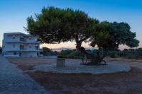 Euphoria Blue studio apartments - B&B Loutsa