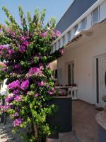 Apartment Šime Bibinje - B&B Bibinje