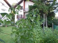Apartmani Sobe BILJANA - B&B