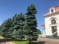 Спальня-студия с видом на море и парк - B&B