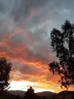 Jamieson Valley Retreat - B&B Howqua