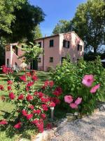 B&B Sirolo - La Visciola - Country House del Conero - Bed and Breakfast Sirolo