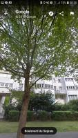 F3 - Séjour Paris + Disneyland - 37bd Segrais Lognes - Chambres d’hôtes