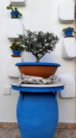 B&B Antiche Stelle Salento - B&B