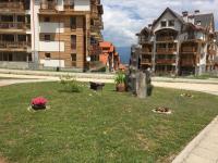 PM Mountain View Fireside Retreat Bansko - B&B