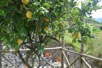 Torre Elisea - B&B
