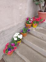 EcoUlan - B&B Kochkor