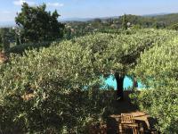 Chambre Lit Queen-Size - Vue sur Piscine
