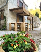 TENUTA BOSCO-Casa Vacanze - Chambres d’hôtes
