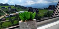 Doppelzimmer mit Bergblick
