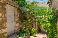 Old Town House with Floor Heating & Lush Private Garden - B&B Dubrovnik