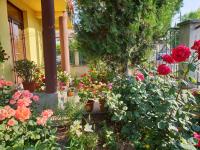 Casa di Madi - B&B 2 Mai
