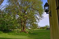 El Tramway Casa Antigua de Campo - B&B San Antonio de Areco