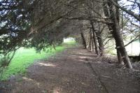 El Tramway Casa Antigua de Campo - B&B San Antonio de Areco