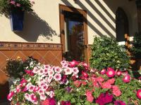 Apartment with private patio - B&B