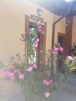 Casa Stefan Galati - B&B