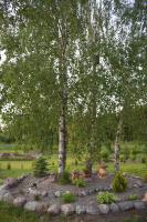 Zakątek Warmiński - Ferienwohnung Płoskinia