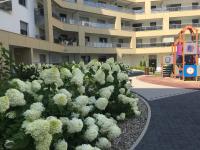 Appartamento Monolocale