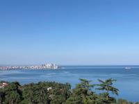 Green Cape Holiday Home - B&B Mts’vane K’ontskhi