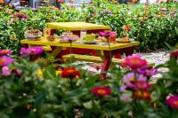 Monolocale Deluxe con Vista Giardino (3 Adulti) 