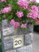 Gîte Plein Sud - B&B Metzeral