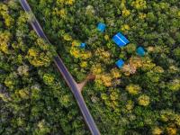 The Thick Forest - B&B