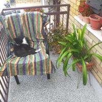 Ćukovac studios - B&B Belgrado