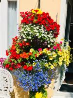 Crowndale Torquay - Exclusively for Adults - Chambres d’hôtes Torquay