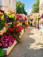 Crowndale Torquay - Exclusively for Adults - Chambres d’hôtes Torquay