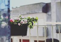 Casa Nina - B&B Locorotondo