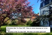 B&B Carolles - Le Vieux Manoir - Bed and Breakfast Carolles