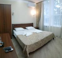 Double or Twin Room with Balcony