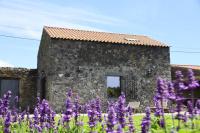 B&B Lagoa - Azores Country Nature - Bed and Breakfast Lagoa